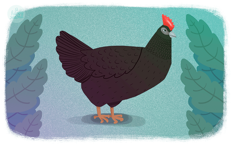 "Черная курица" "Черная курица"