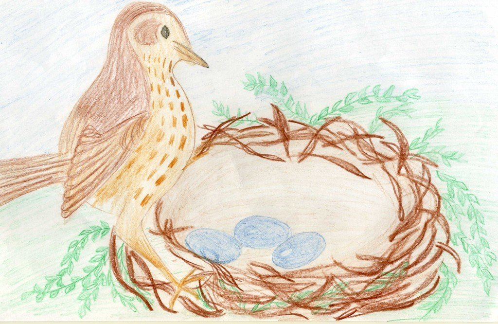 "Стрижонок Скрип" "Стрижонок Скрип"