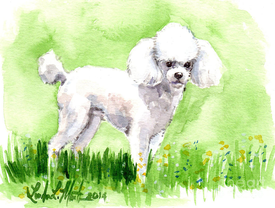 "Белый пудель" "Белый пудель"