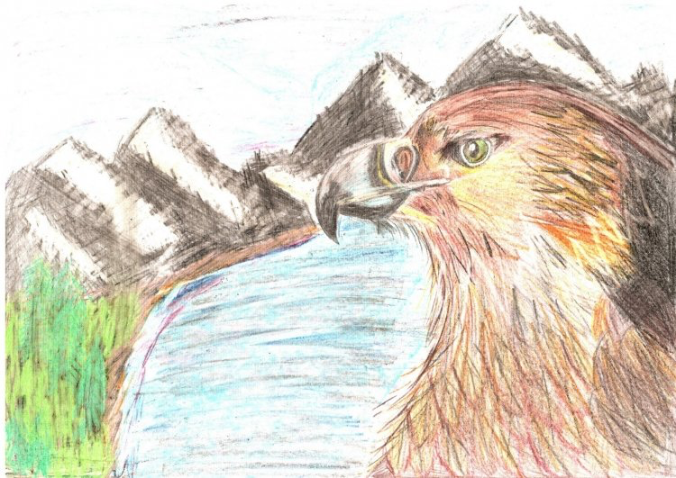 "Ясный сокол" "Ясный сокол"