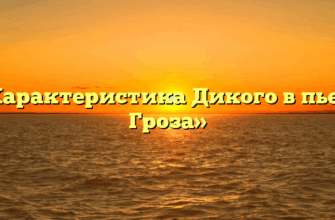 «Характеристика Дикого в пьесе Гроза»