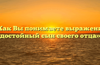 «Как Вы понимаете выражение «достойный сын своего отца»»