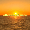 «Осенний лес»