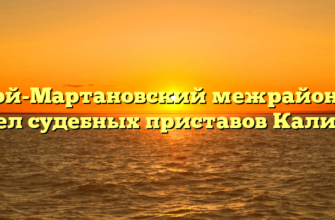 Ачхой-Мартановский межрайонный отдел судебных приставов Калинин