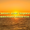 «Бормотание» или «бормотанье» — как правильно пишется слово?