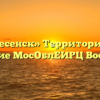 «Воскресенск» Территориальное управление МосОблЕИРЦ Воскресенск