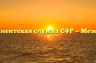 Клиентская служба СФР — Мезень