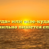 «Кое куда» или «кое-куда» — как правильно пишется слово?