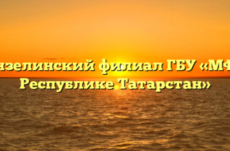 Мензелинский филиал ГБУ «МФЦ в Республике Татарстан»