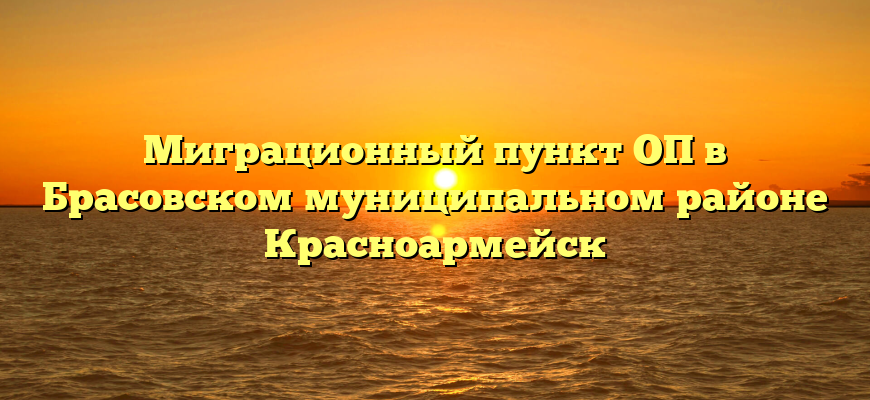 Миграционный пункт ОП в Брасовском муниципальном районе Красноармейск