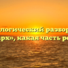 Морфологический разбор слова «парх», какая часть речи