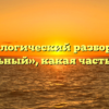 Морфологический разбор слова «тыльный», какая часть речи