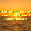 Нижнекамский отдел управления Росреестра по Республике Татарстан Нижнекамск