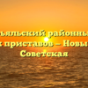 Новоторьяльский районный отдел судебных приставов — Новый Торъял Советская