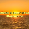 Отдел опеки и попечительства — Моргауши