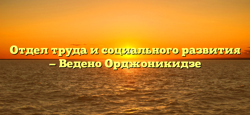 Отдел труда и социального развития — Ведено Орджоникидзе