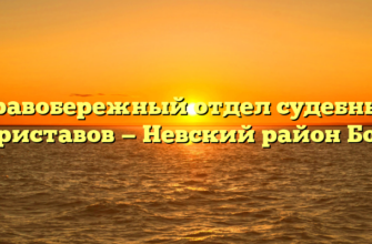 Правобережный отдел судебных приставов — Невский район Бор