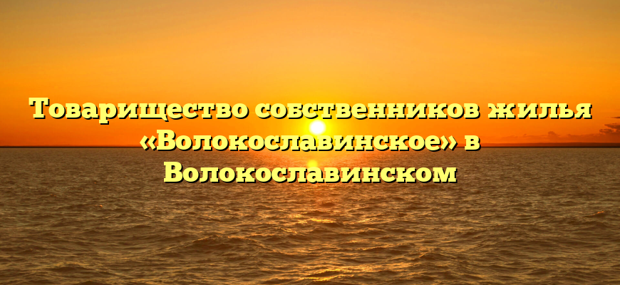 Товарищество собственников жилья «Волокославинское» в Волокославинском