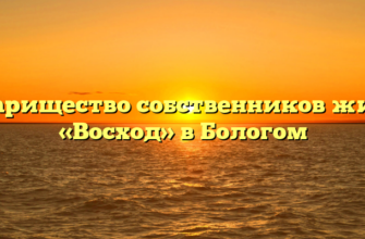 Товарищество собственников жилья «Восход» в Бологом