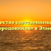 Товарищество собственников жилья «Городовиков» в Элисте