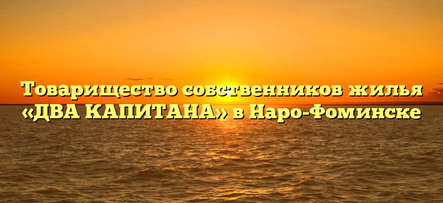 Товарищество собственников жилья «ДВА КАПИТАНА» в Наро-Фоминске