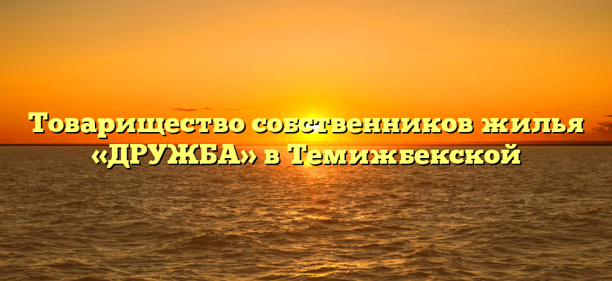 Товарищество собственников жилья «ДРУЖБА» в Темижбекской