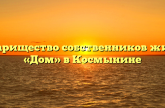 Товарищество собственников жилья «Дом» в Космынине