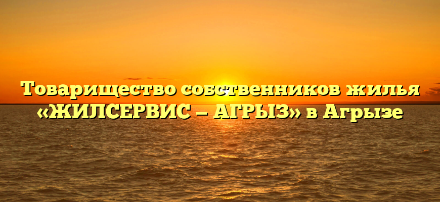 Товарищество собственников жилья «ЖИЛСЕРВИС — АГРЫЗ» в Агрызе