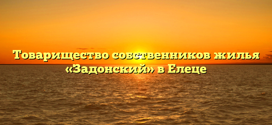 Товарищество собственников жилья «Задонский» в Елеце