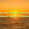 Товарищество собственников жилья «Зелёный бор» в Шебекине