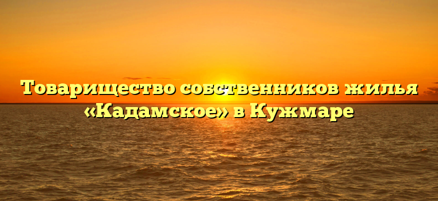Товарищество собственников жилья «Кадамское» в Кужмаре