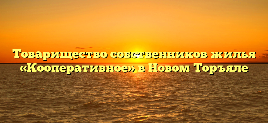 Товарищество собственников жилья «Кооперативное» в Новом Торъяле