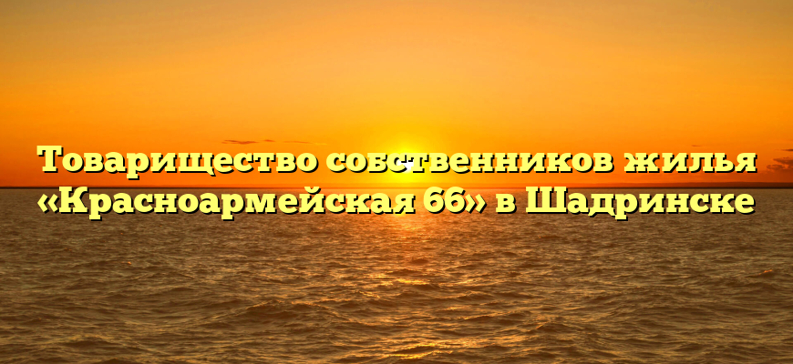 Товарищество собственников жилья «Красноармейская 66» в Шадринске