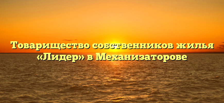 Товарищество собственников жилья «Лидер» в Механизаторове