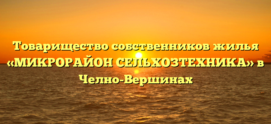 Товарищество собственников жилья «МИКРОРАЙОН СЕЛЬХОЗТЕХНИКА» в Челно-Вершинах