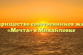 Товарищество собственников жилья «Мечта» в Михайловке