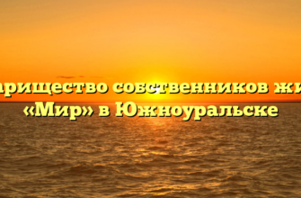 Товарищество собственников жилья «Мир» в Южноуральске