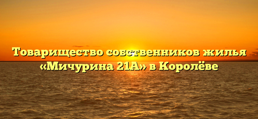 Товарищество собственников жилья «Мичурина 21А» в Королёве