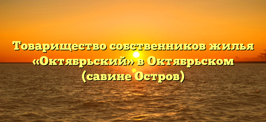 Товарищество собственников жилья «Октябрьский» в Октябрьском (савине Остров)