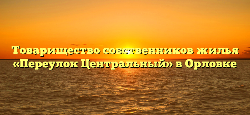 Товарищество собственников жилья «Переулок Центральный» в Орловке