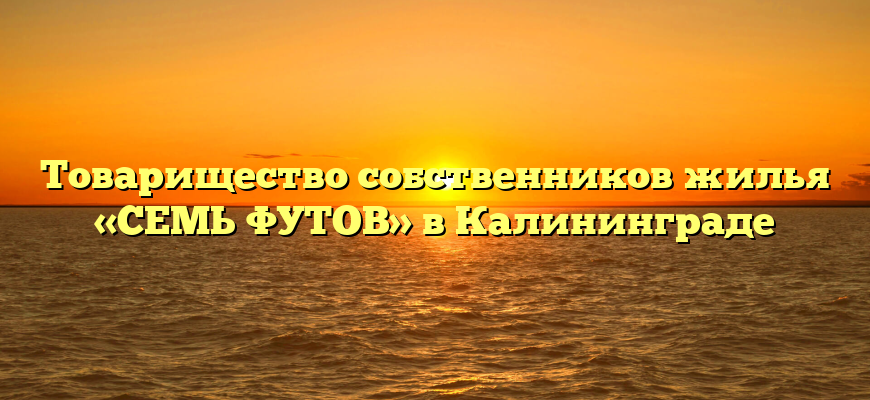 Товарищество собственников жилья «СЕМЬ ФУТОВ» в Калининграде