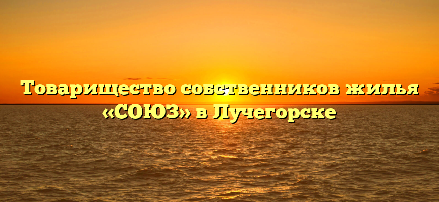 Товарищество собственников жилья «СОЮЗ» в Лучегорске