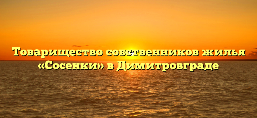 Товарищество собственников жилья «Сосенки» в Димитровграде