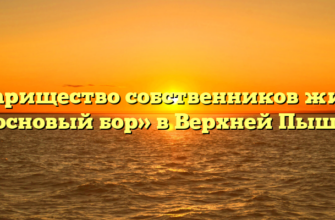 Товарищество собственников жилья «Сосновый бор» в Верхней Пышме
