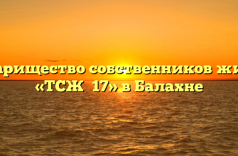 Товарищество собственников жилья «ТСЖ №17» в Балахне