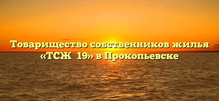 Товарищество собственников жилья «ТСЖ №19» в Прокопьевске