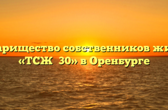 Товарищество собственников жилья «ТСЖ №30» в Оренбурге