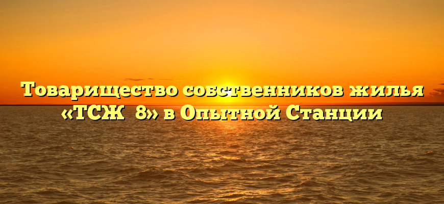 Товарищество собственников жилья «ТСЖ №8» в Опытной Станции