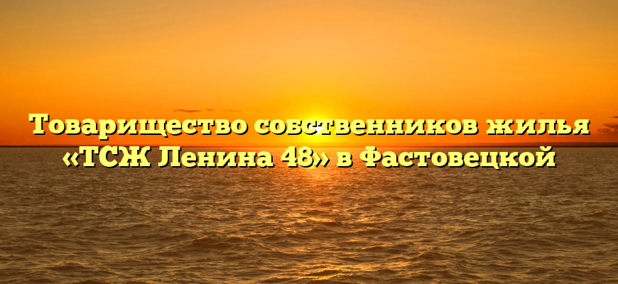 Товарищество собственников жилья «ТСЖ Ленина 48» в Фастовецкой