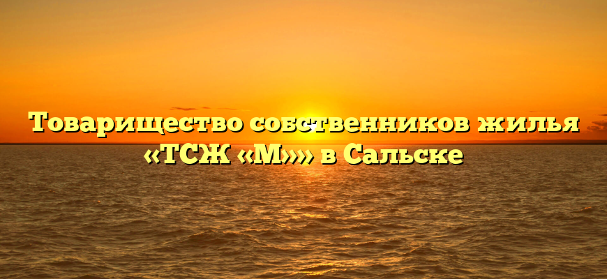 Товарищество собственников жилья «ТСЖ «М»» в Сальске